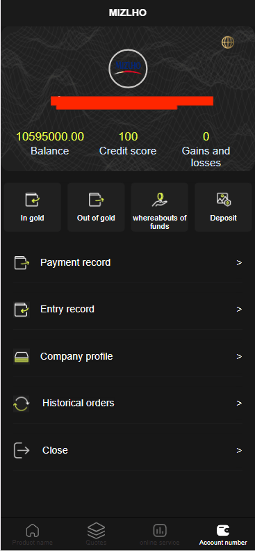外汇系统前端界面6